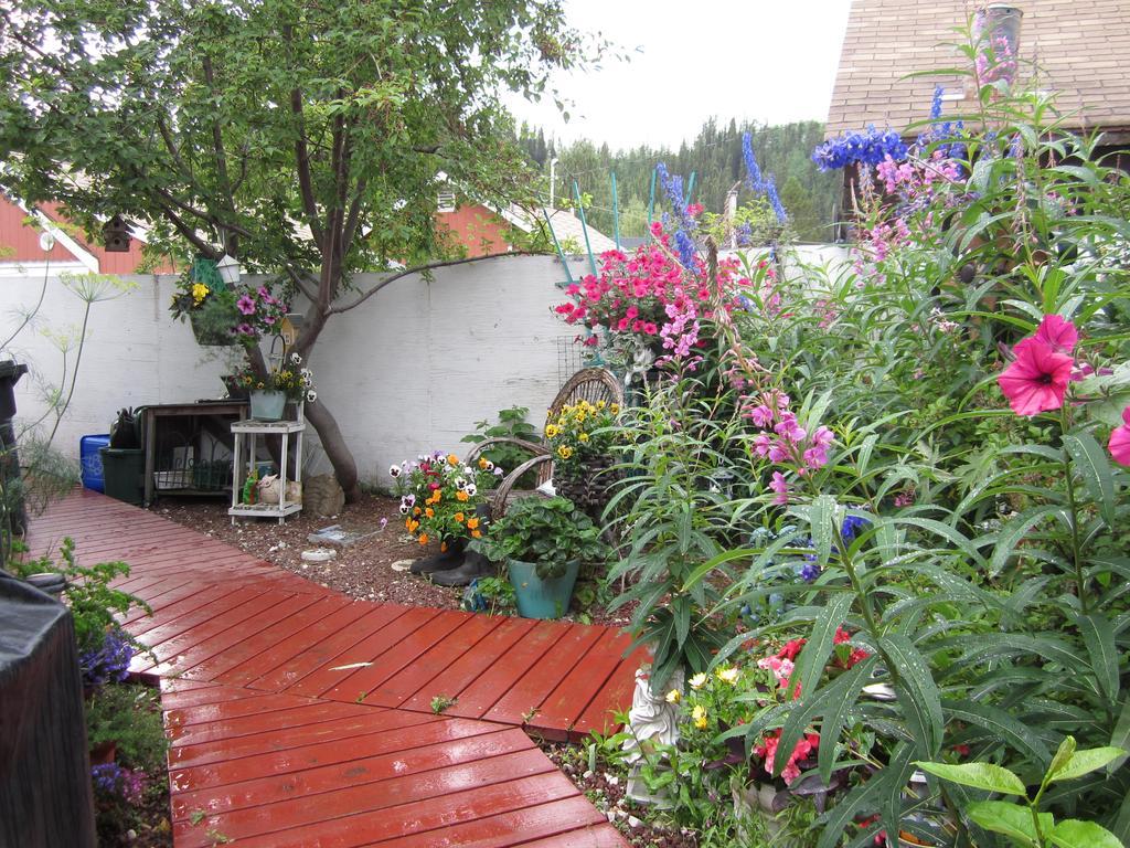 Casey'S Bed & Breakfast Whitehorse Quarto foto